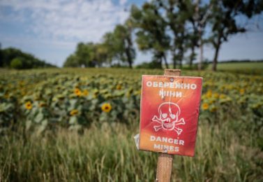 FAO و WFP متحد برای پاکسازی زمین های کشاورزی از بقایای جنگ در اوکراین
