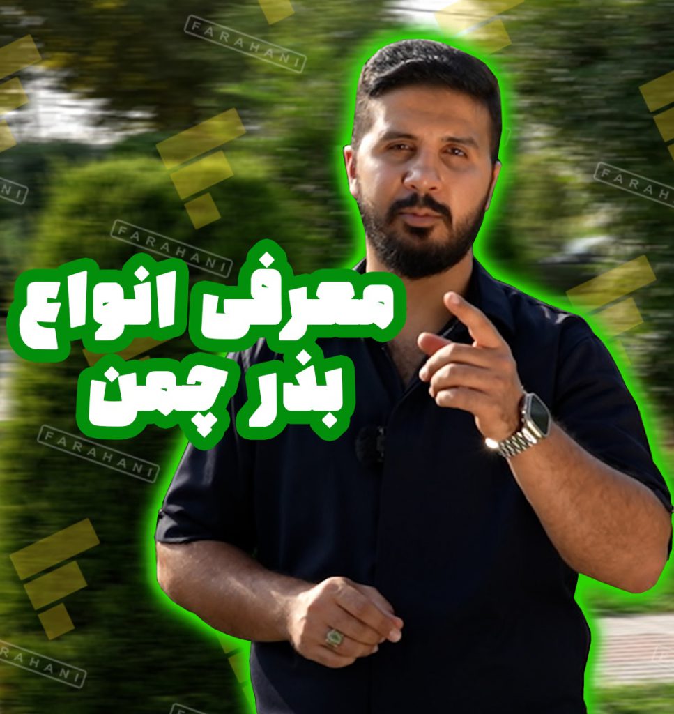 بذر چمن