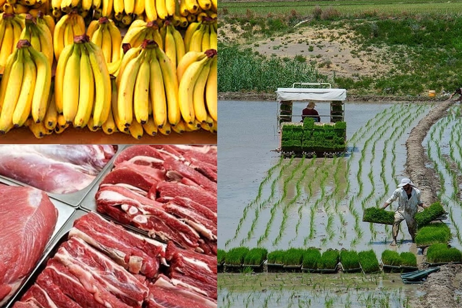 خودکفایی در تولید گوشت، برنج، شکر و موز خودکفا